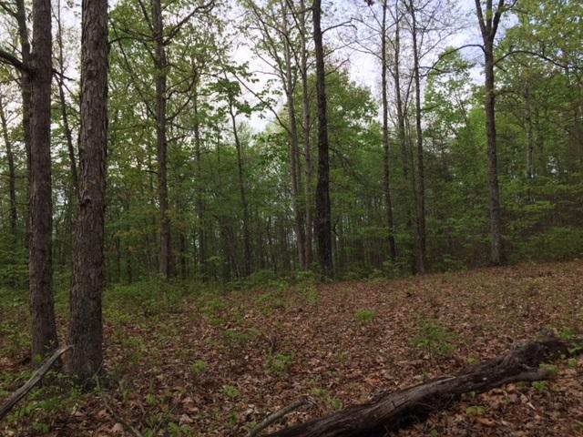 48 Jackson Point Road, Unit 48 Sewanee, TN 37375 - Photo 5 of 12 IMG_4237