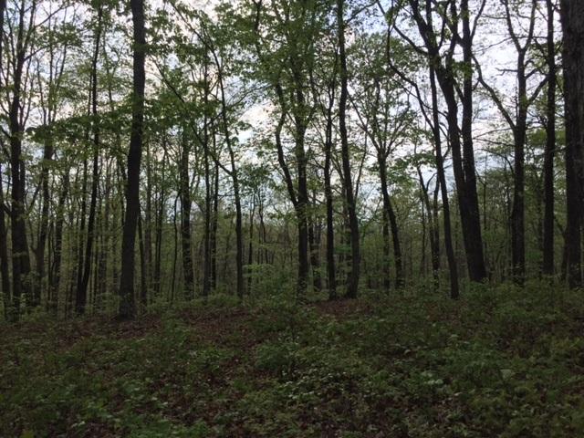 48 Jackson Point Road, Unit 48 Sewanee, TN 37375 - Photo 7 of 12 IMG_4241