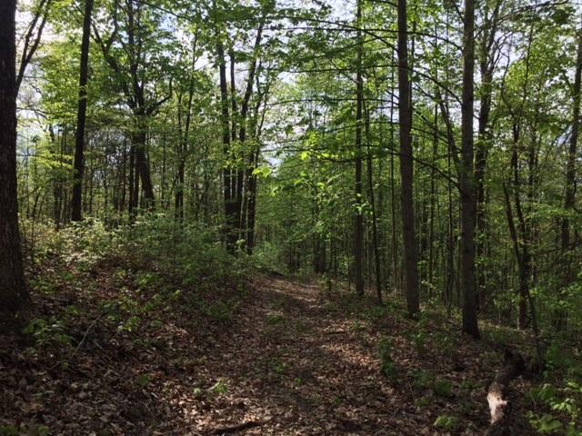 48 Jackson Point Road, Unit 48 Sewanee, TN 37375 - Photo 10 of 12 IMG_4247