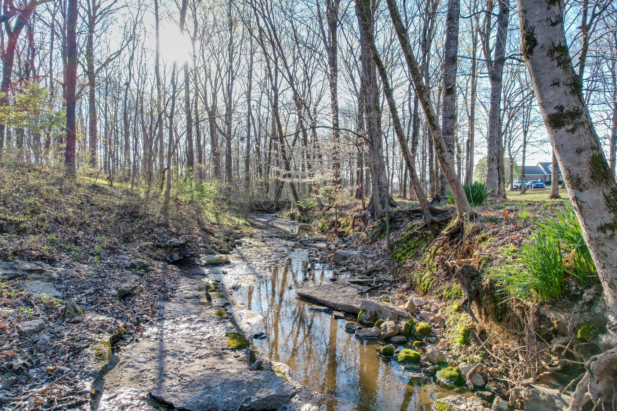 631 Vaughan's Gap Road Spring Hill, TN 37174 - Photo 43 of 44 Gallery Image 43