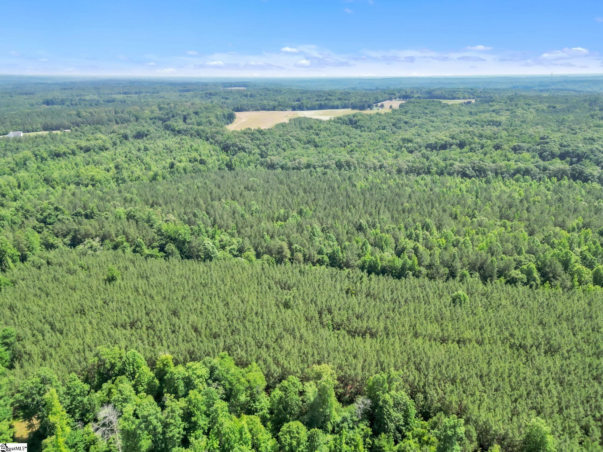0 Simpson Mill Road Laurens, SC 29360 - Photo 12 of 18 Gallery Image 12