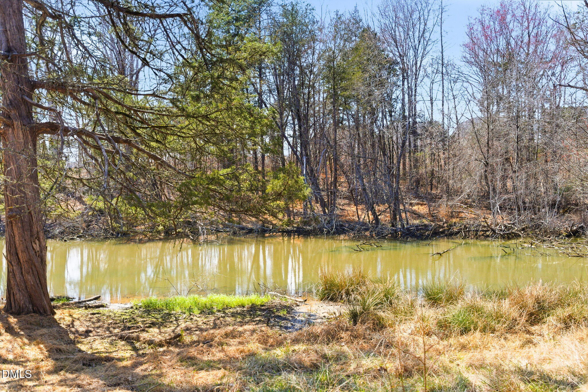 1603 Sykes Road Mebane, NC 27302 - Photo 37 of 45 a view of a lake with houses