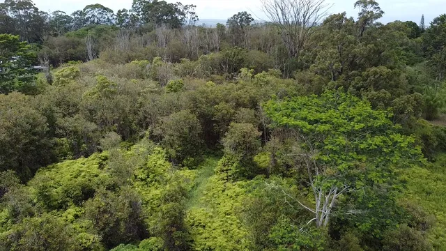 $375,000 | 2 Ainaola Drive, Hilo, HI 96720