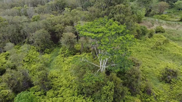 $375,000 | 2 Ainaola Drive, Hilo, HI 96720