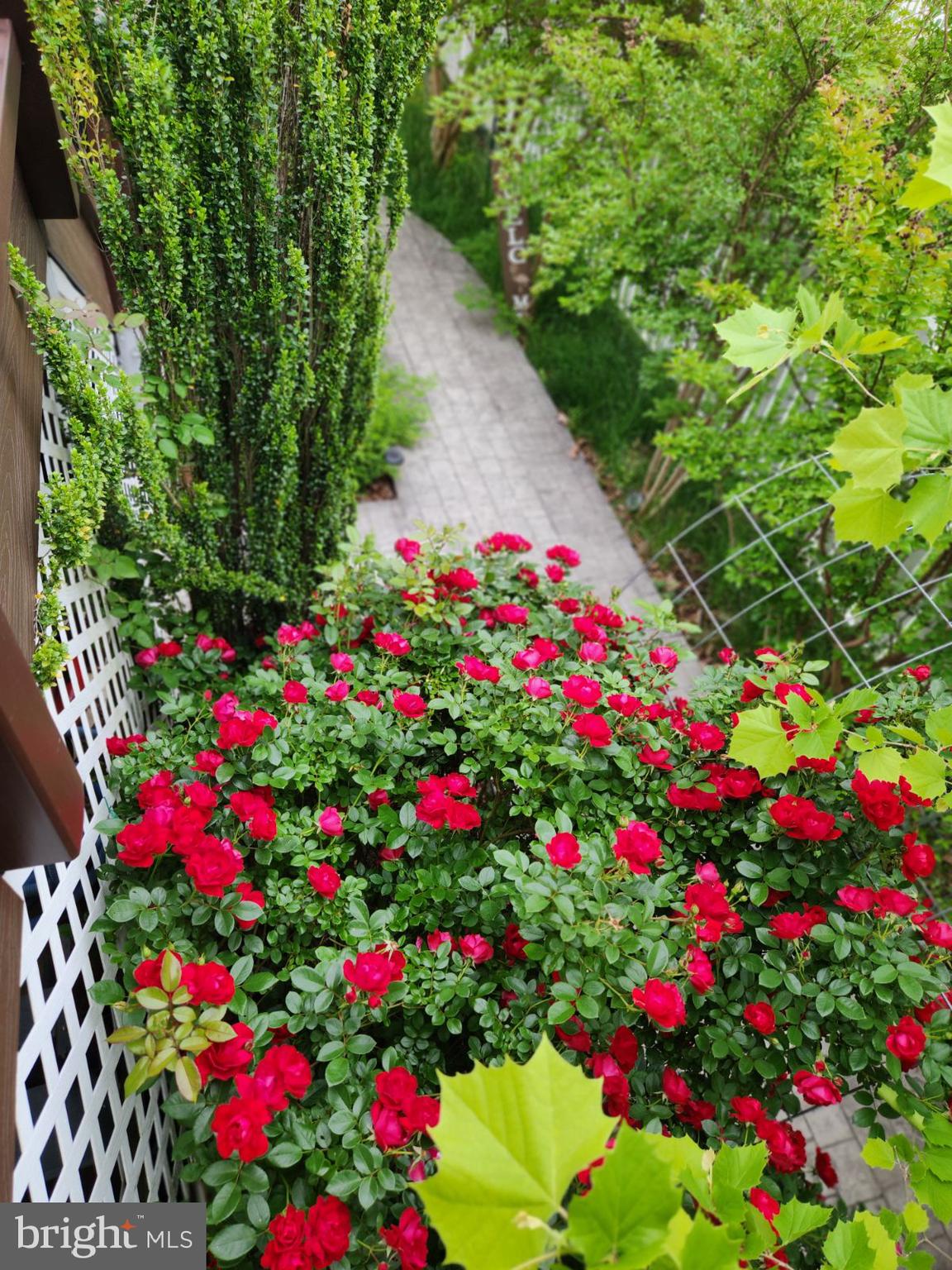 18 Dewitt Road Stafford, VA 22554 - Photo 34 of 36