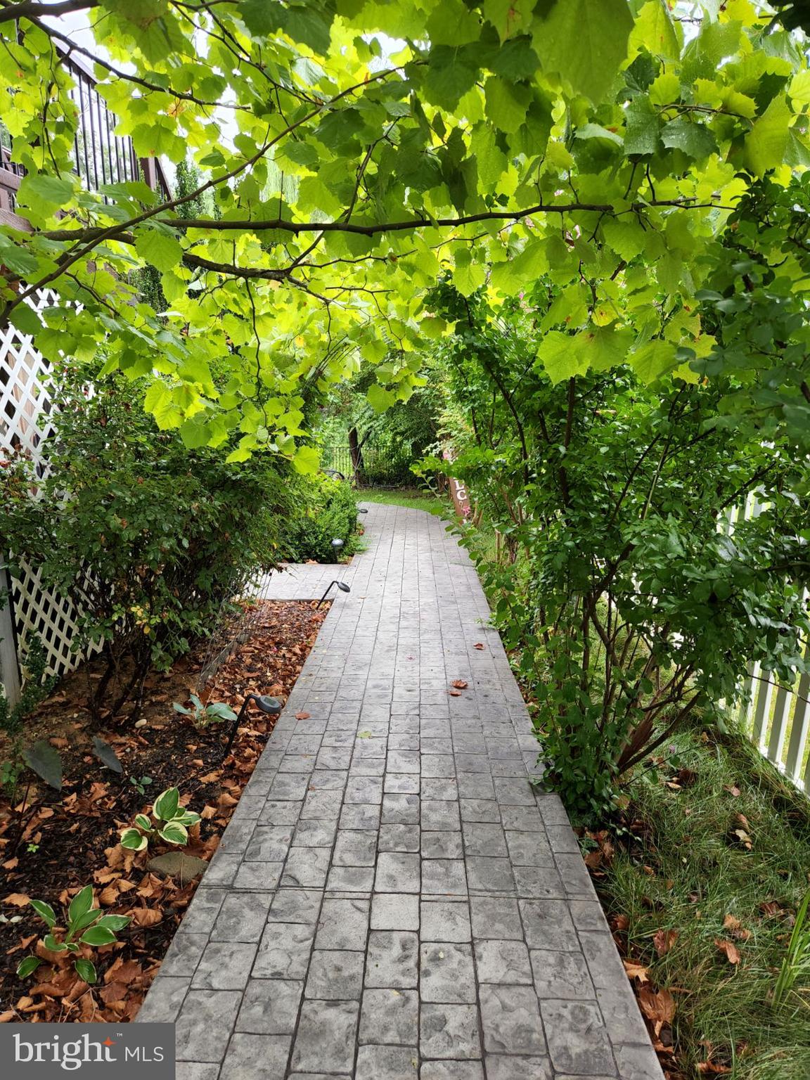 18 Dewitt Road Stafford, VA 22554 - Photo 35 of 36