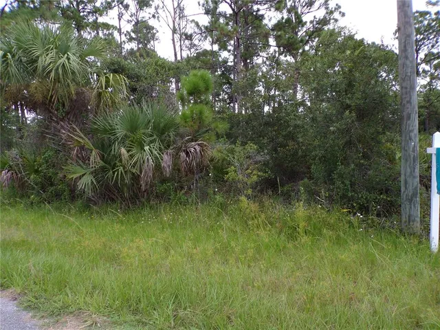 $18,000 | 14020 Carrie Avenue, Port Charlotte, FL 33953