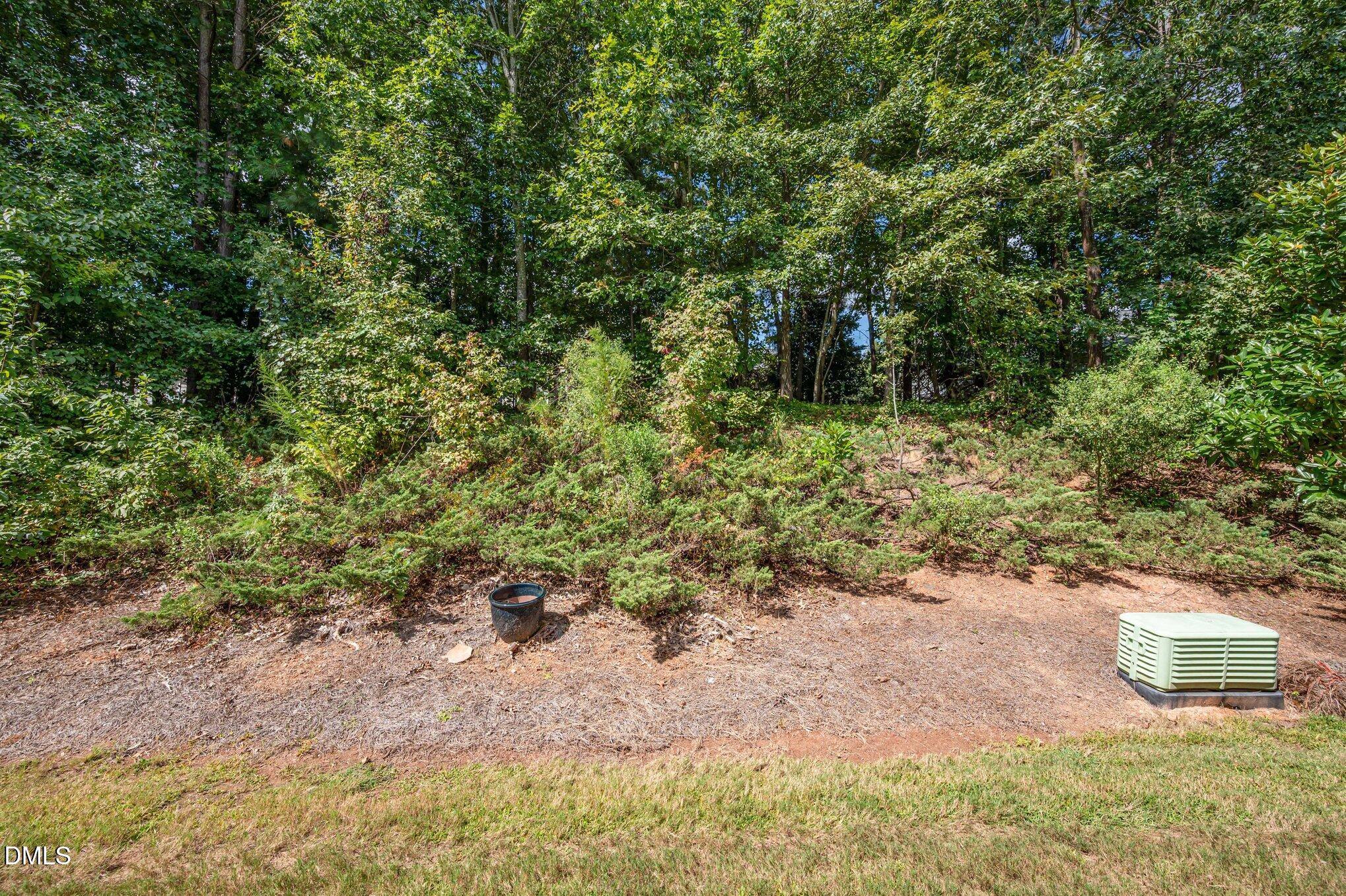 10441 Blue Dun Way Raleigh, NC 27614 - Photo 22 of 23 025_file_724