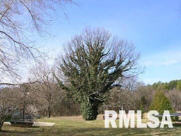 3945 Trigg Tower Road Simpson, IL 62985 - Photo 3 of 7