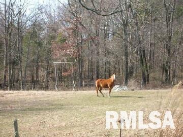 3945 Trigg Tower Road Simpson, IL 62985 - Photo 6 of 7