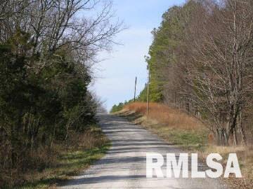 3945 Trigg Tower Road Simpson, IL 62985 - Photo 7 of 7