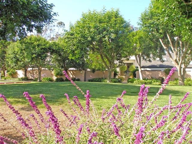 3566 Modoc Road, Unit 36 Santa Barbara, CA 93105 - Photo 2 of 18 a front view of a house with fountain and a large tree