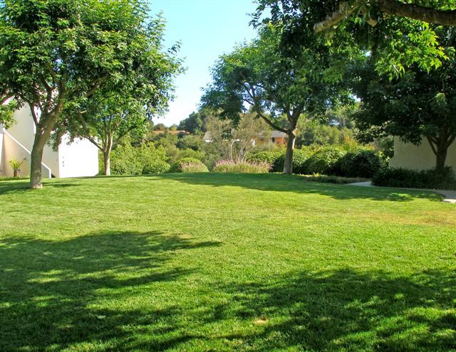 3566 Modoc Road, Unit 36 Santa Barbara, CA 93105 - Photo 3 of 18 a view of a trees with a big yard