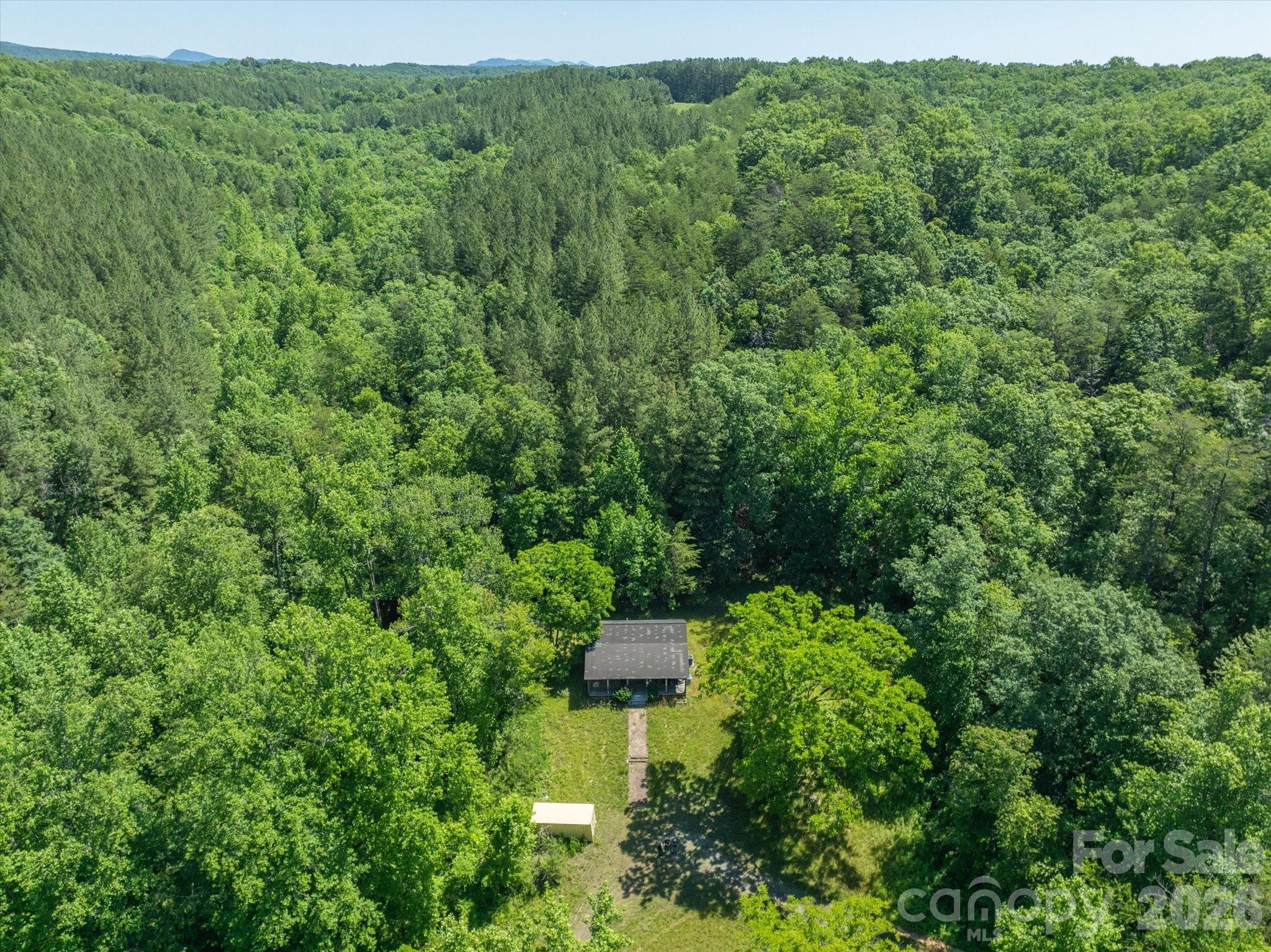 1194 Palmer Road Mill Spring, NC 28756 - Photo 22 of 25