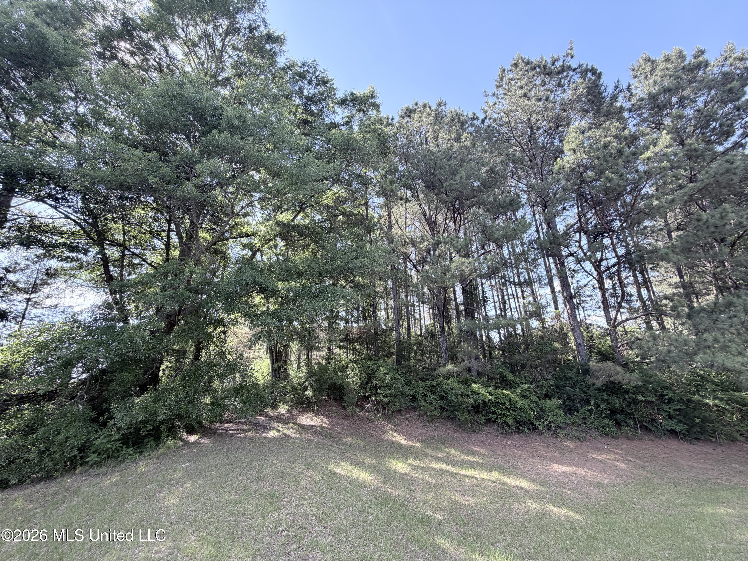 385 Risher Road Carthage, MS 39051 - Photo 1 of 2 IMG_4136