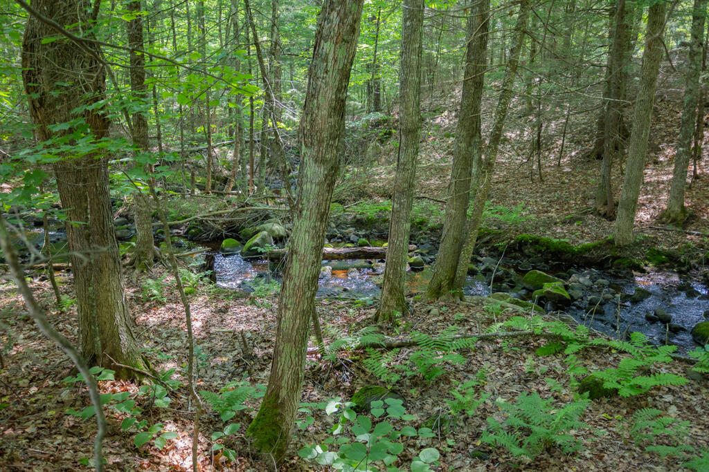 72 Fayette Corner Road Kents Hill, ME 04349 - Photo 58 of 62 taylor-kaminsky-photo-39