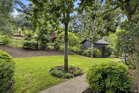 a view of a garden with large trees