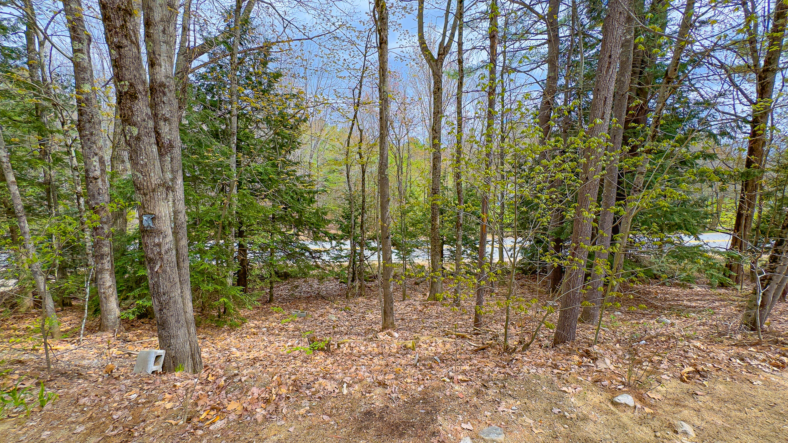 180 Bolsters Mills Road Otisfield, ME 04270 - Photo 15 of 24 180 Bolster Mills Road-33