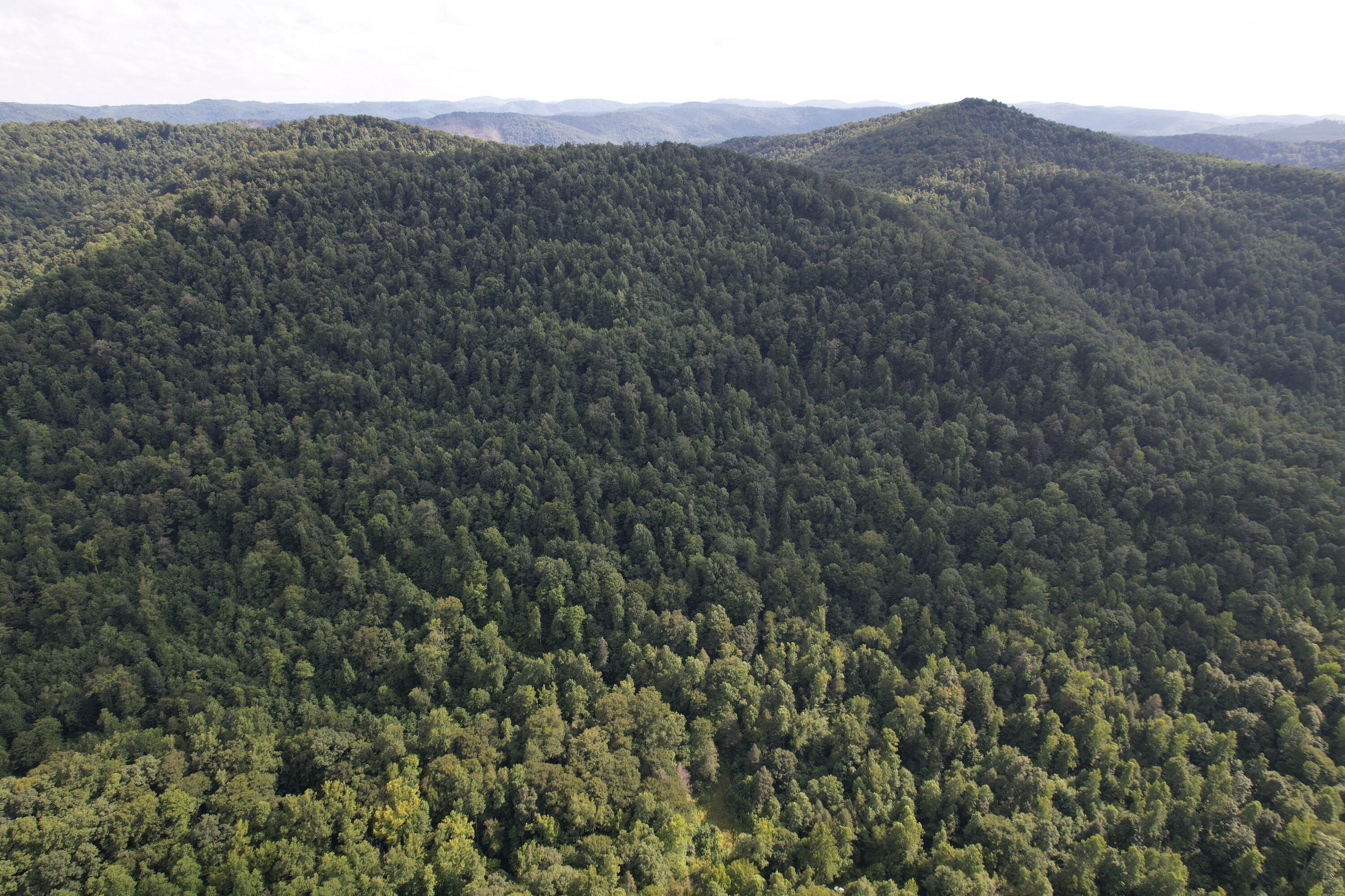 0 Little Rock Creek Road Strunk, KY 42649 - Photo 14 of 29 DJI_0621