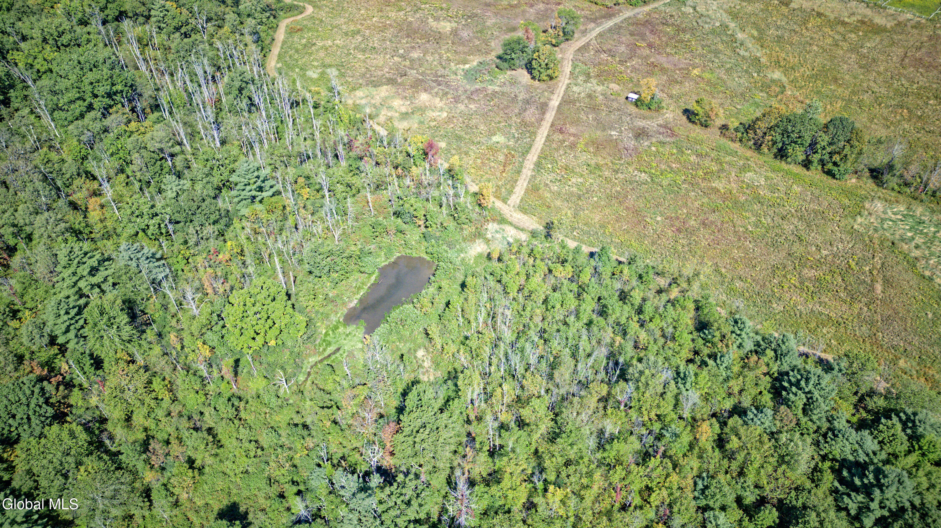 100 Bally Bay Lane Guilderland, NY 12009 - Photo 14 of 61 0 Air Photo 8