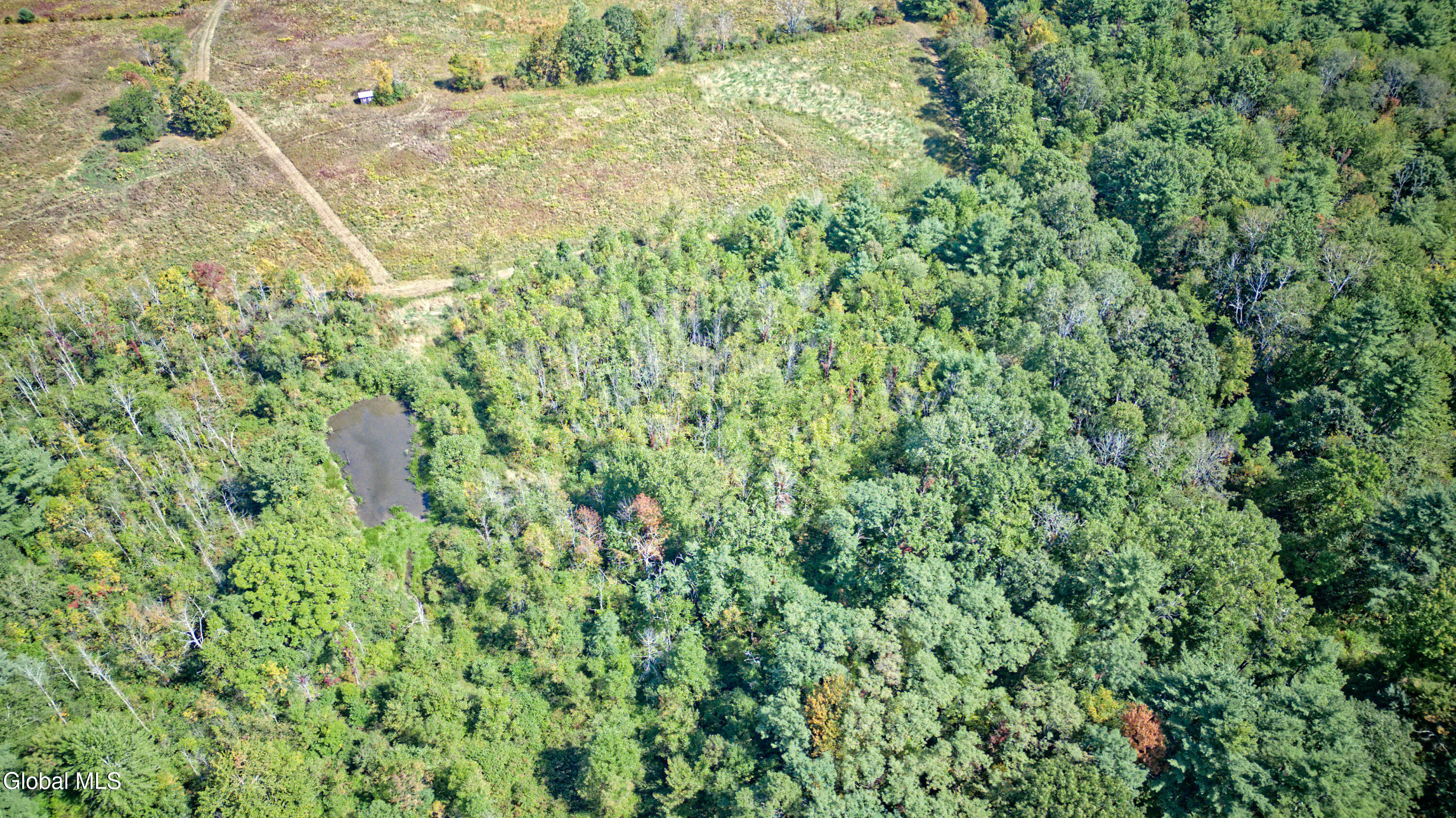 100 Bally Bay Lane Guilderland, NY 12009 - Photo 15 of 61 0 Air Photo 9