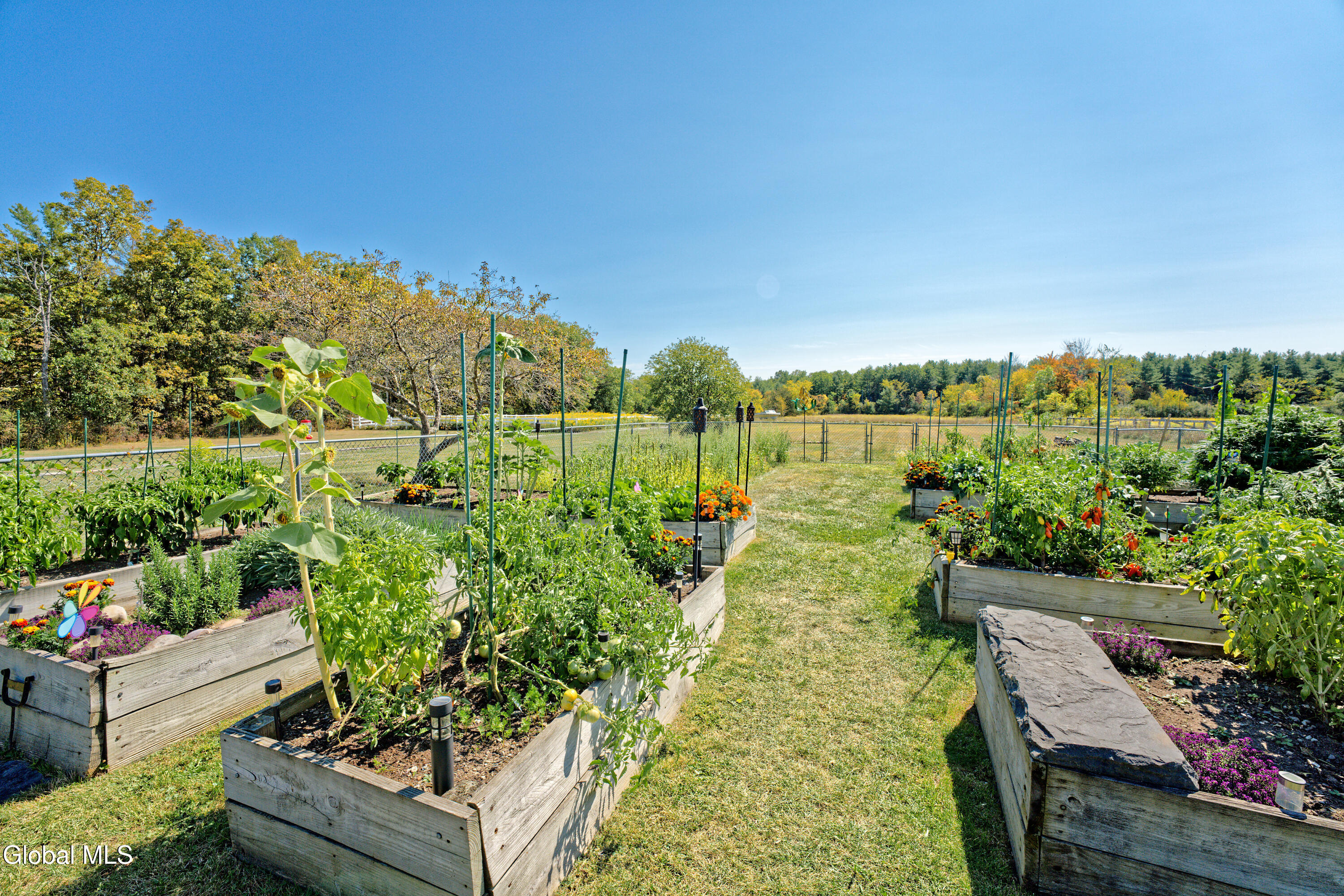 100 Bally Bay Lane Guilderland, NY 12009 - Photo 38 of 61 1 Outside Photo 20