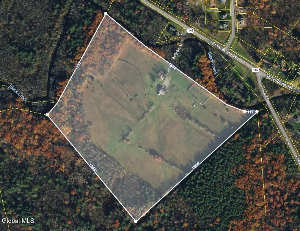 100 Bally Bay Lane Guilderland, NY 12009 - Photo 6 of 61 Ariel Photo of 100 Bally Bay Farm