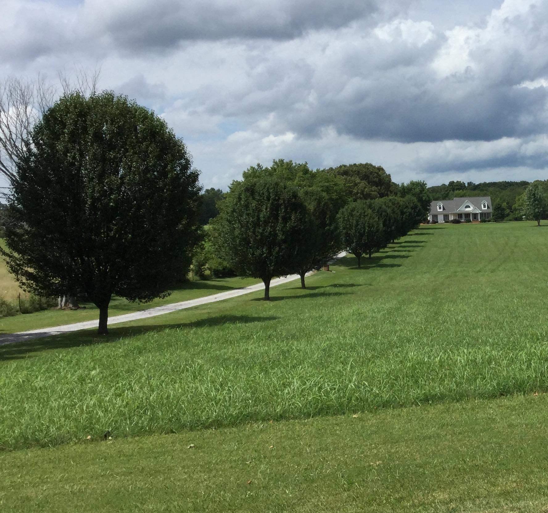 1901 Abiff Road Burns, TN 37029 - Photo 7 of 20 a view of a grassy field