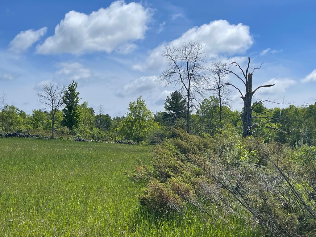 Tbd West Meadow Road Fish Creek, WI 54212 - Photo 6 of 10
