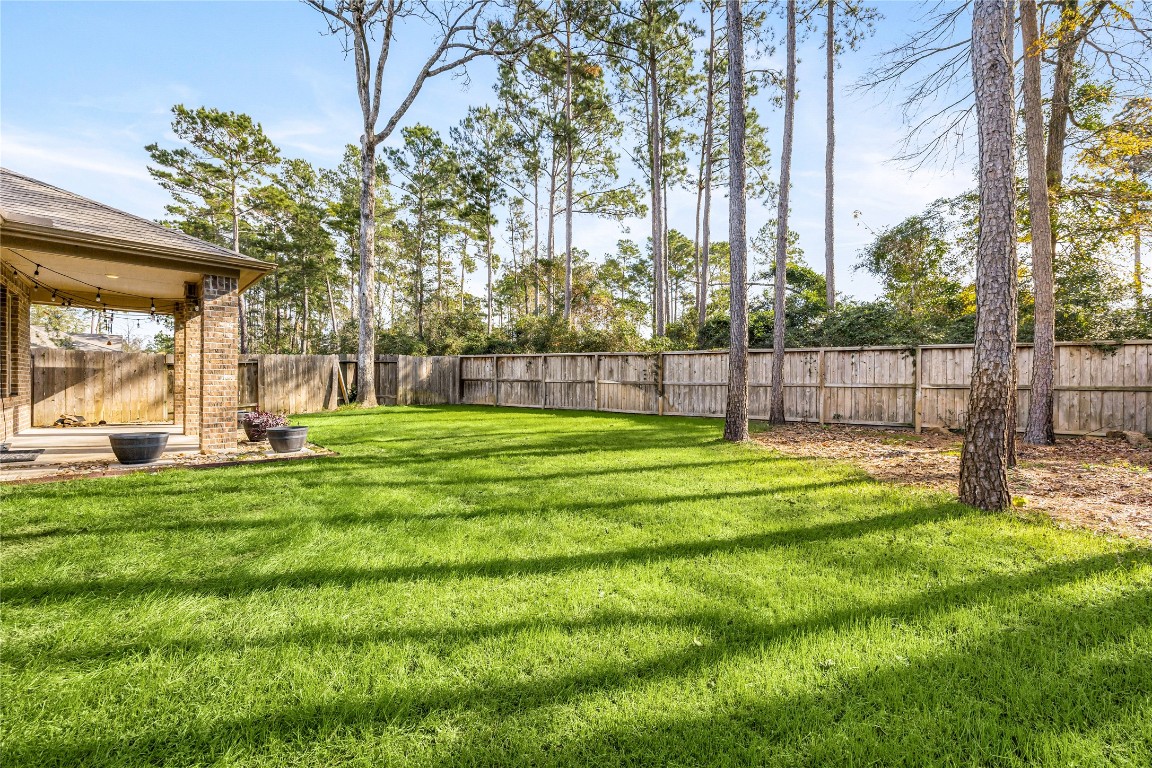 14023 Beaverhead Range Court Conroe, TX 77384 - Photo 24 of 29 Mature pine trees border the property, providing a picturesque backdrop and a sense of tranquility