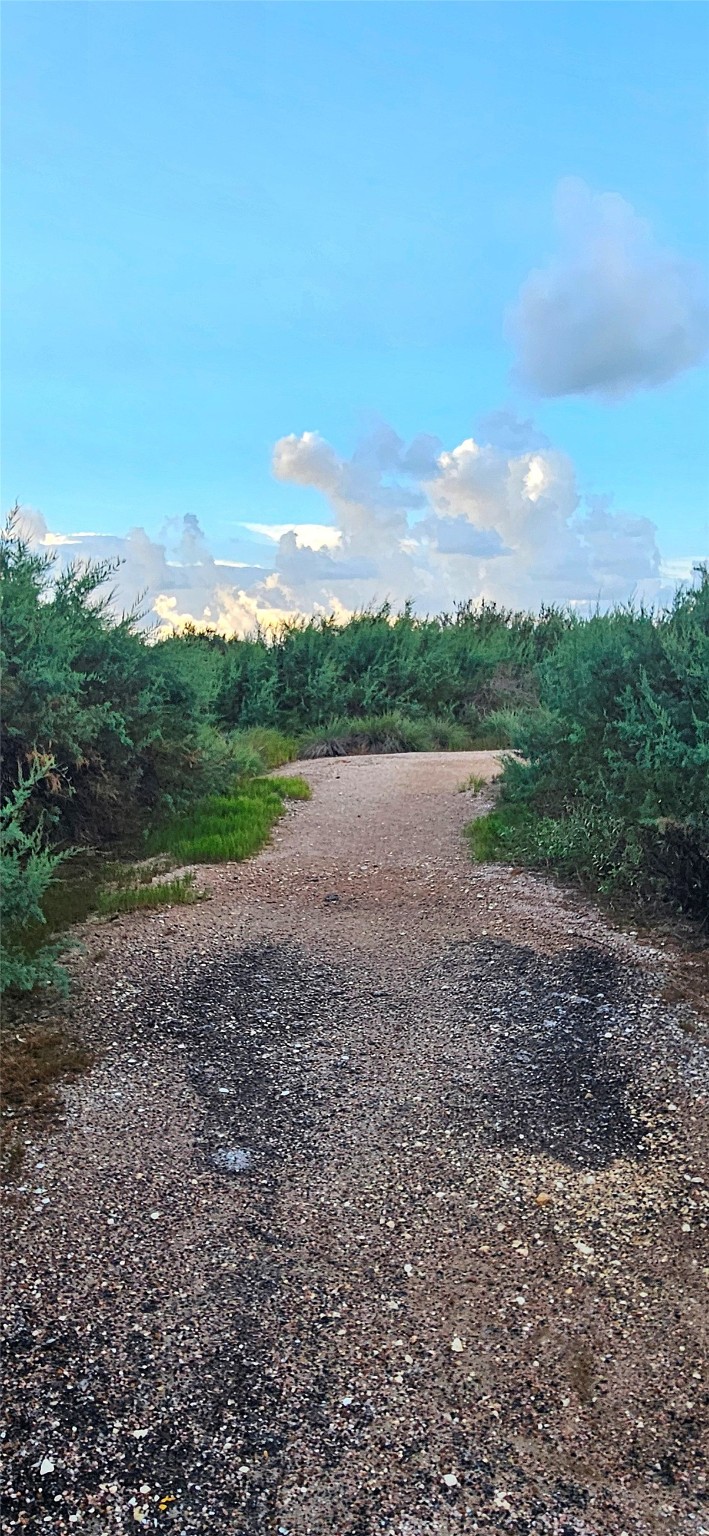 0 Jean Lafitte Drive Freeport, TX 77541 - Photo 12 of 14 a view of a field with an trees