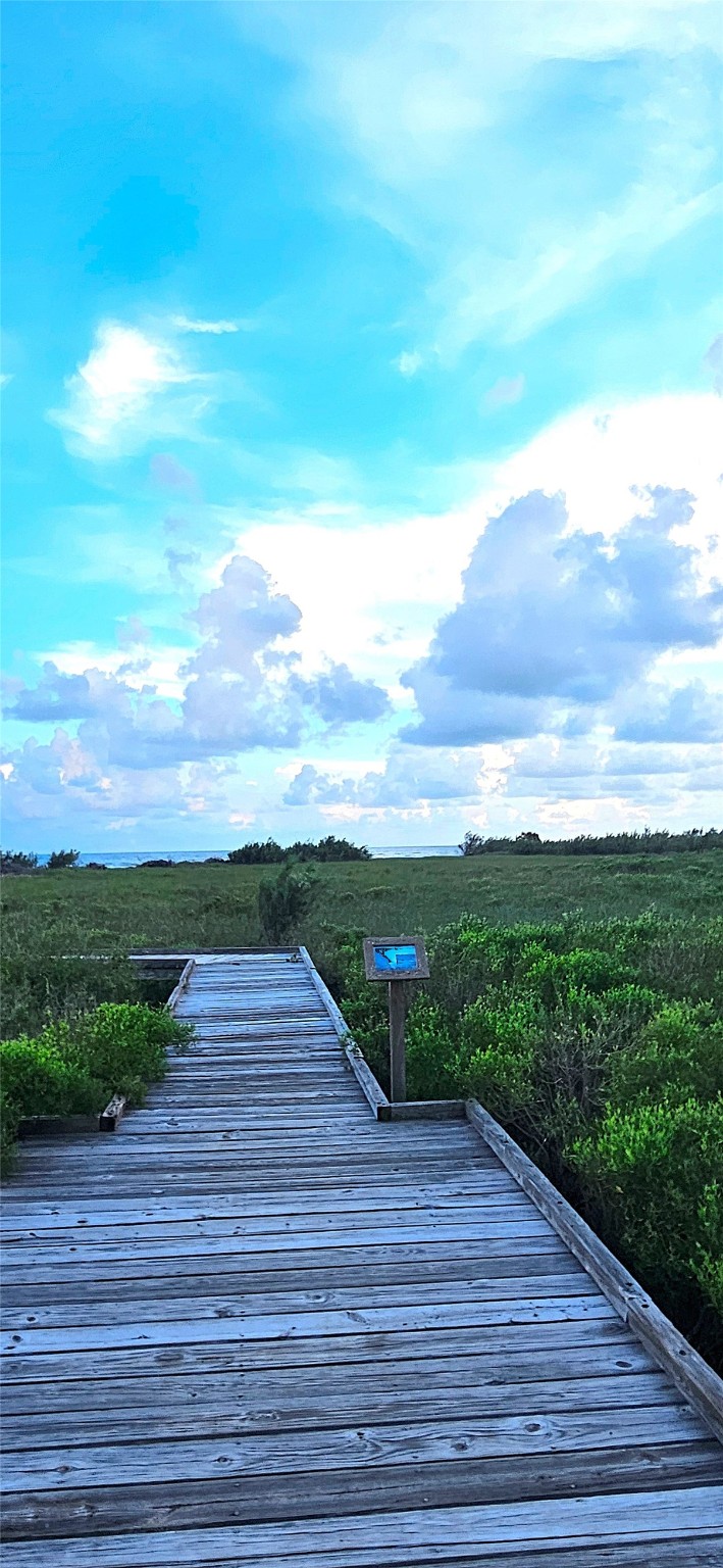 0 Jean Lafitte Drive Freeport, TX 77541 - Photo 13 of 14 a view of a yard with wooden floor