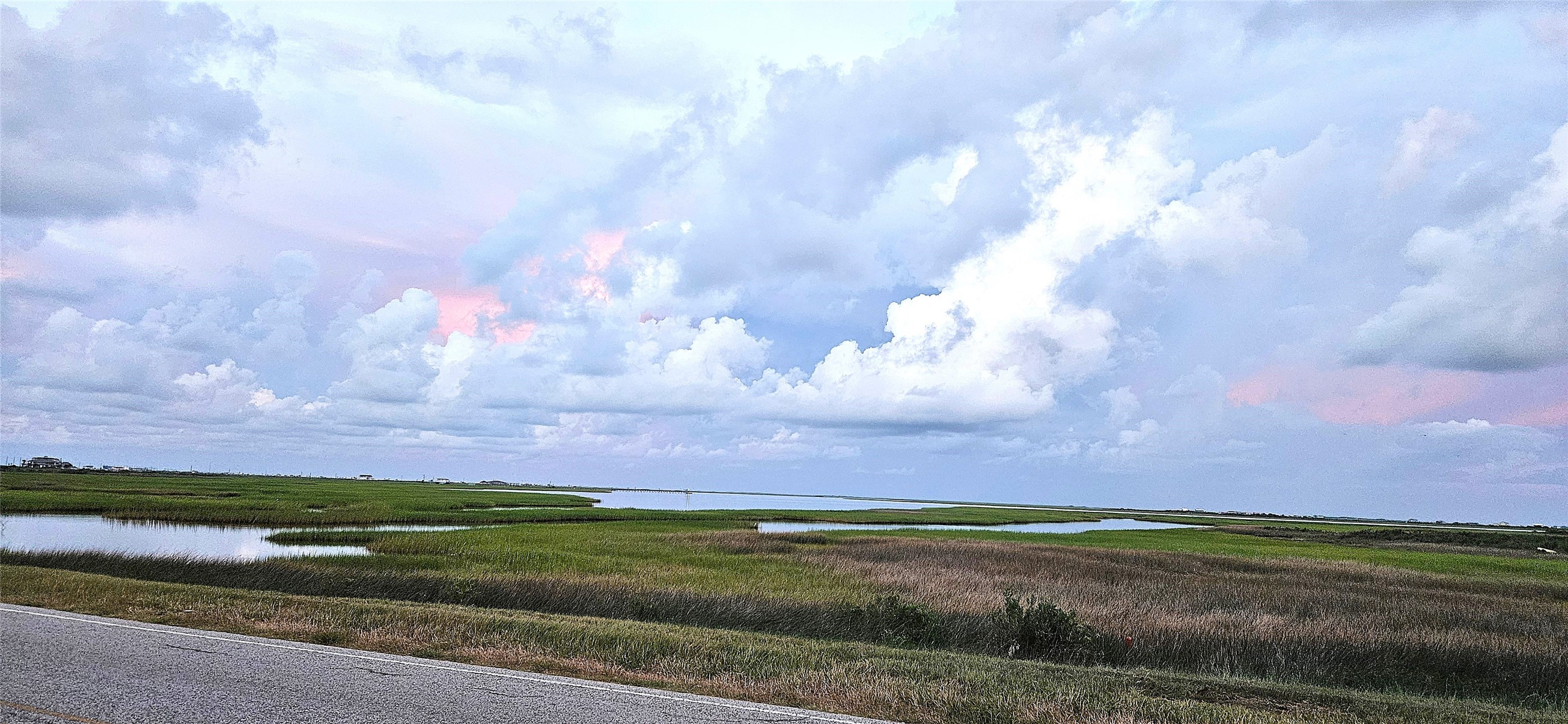 0 Jean Lafitte Drive Freeport, TX 77541 - Photo 4 of 14 a view of a big yard with a big yard and a large tree