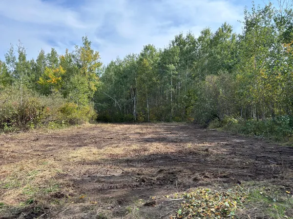 $72,000 | Tbd 120th Place, Tamarack, MN 55787