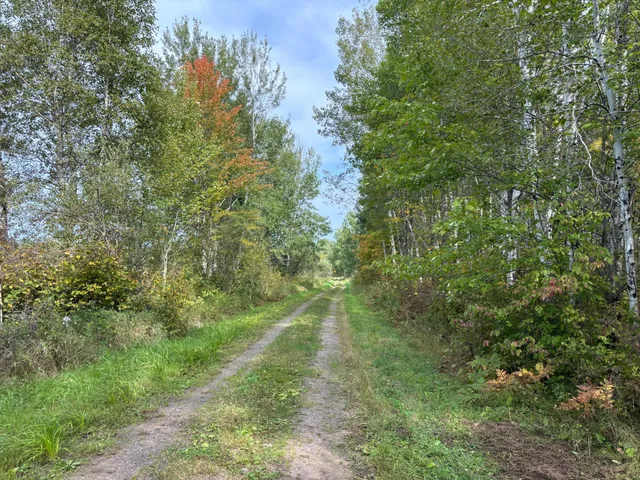$80,000 | Tbd 120th Place, Tamarack, MN 55787