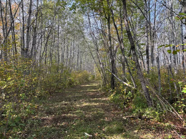 $80,000 | Tbd 120th Place, Tamarack, MN 55787