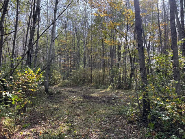 $80,000 | Tbd 120th Place, Tamarack, MN 55787