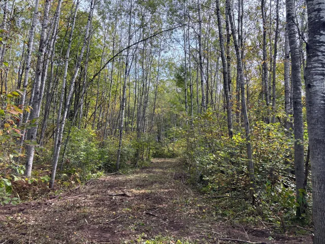 $80,000 | Tbd 120th Place, Tamarack, MN 55787