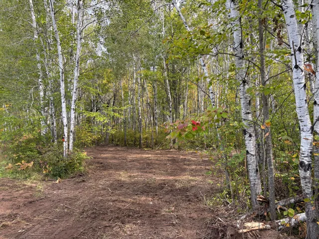 $80,000 | Tbd 120th Place, Tamarack, MN 55787