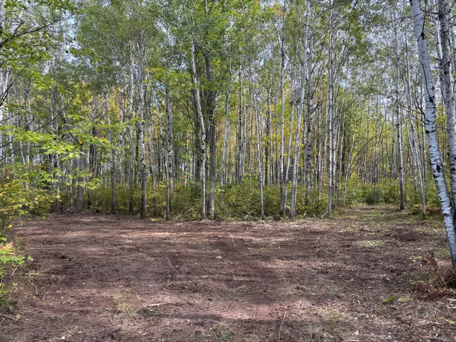 $80,000 | Tbd 120th Place, Tamarack, MN 55787