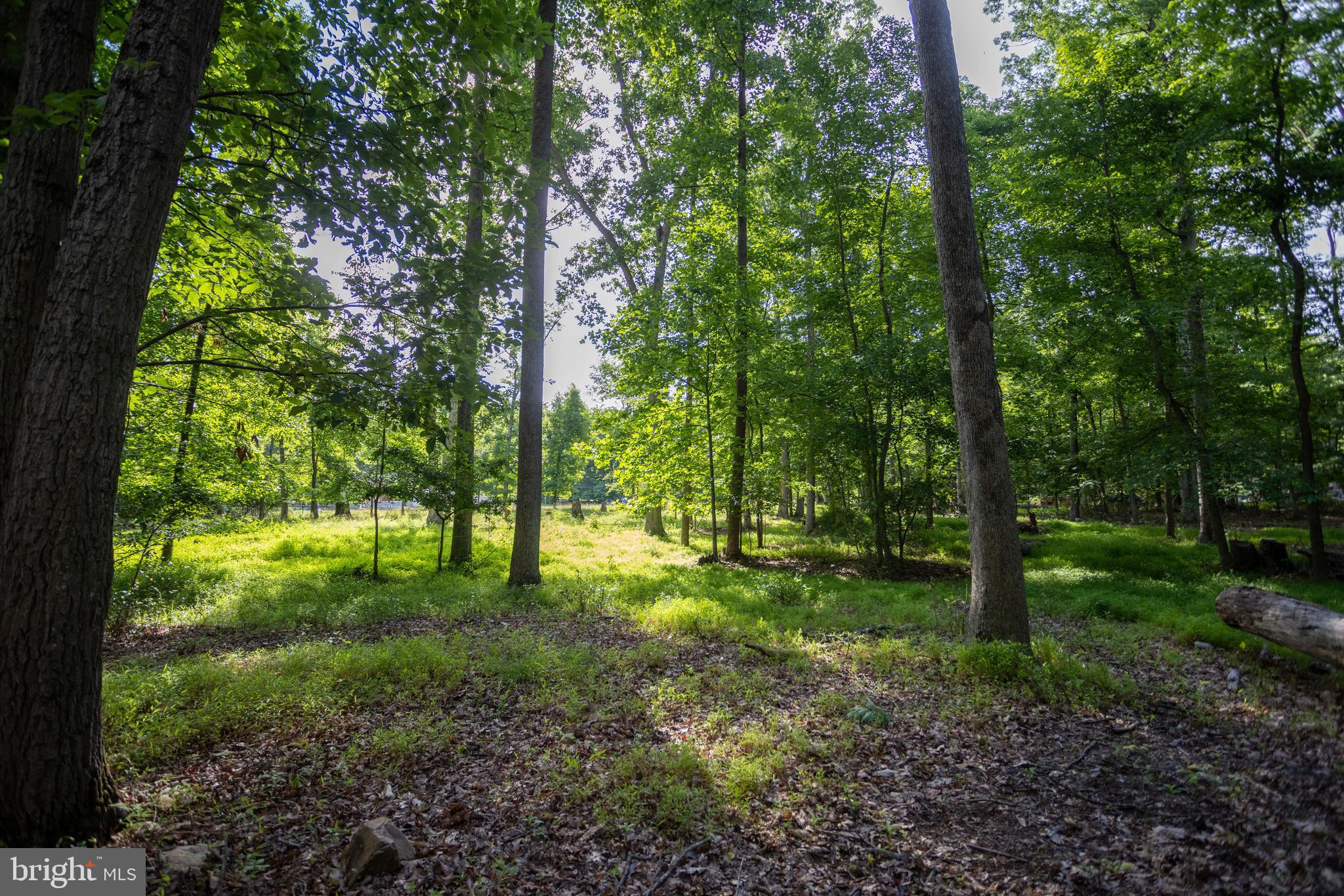 110 Cold Springs Road Carlisle, PA 17015 - Photo 15 of 25