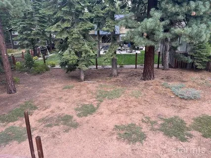 a view of a yard with plants and a bench