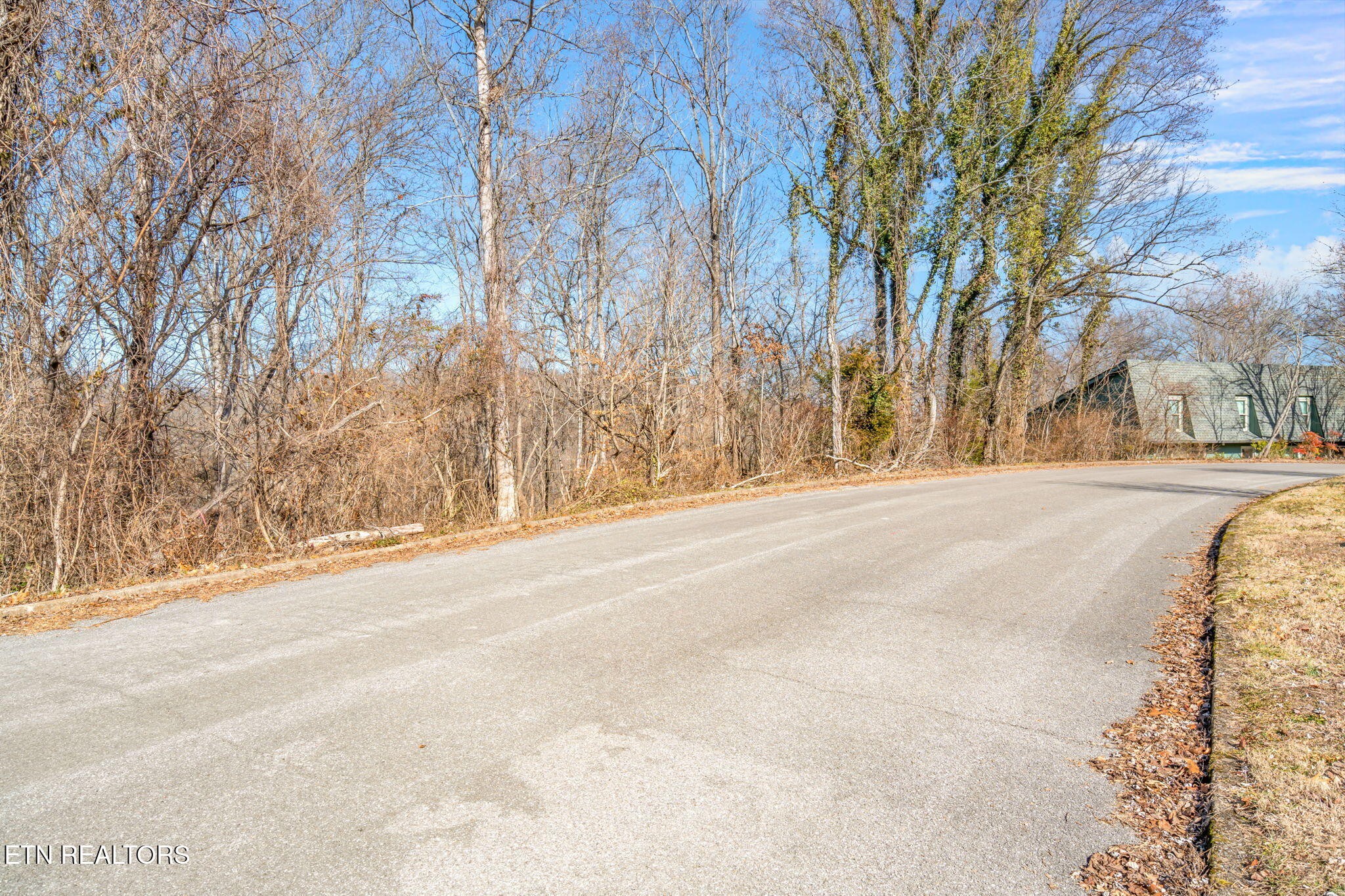 48 Orchard Knob Road Clinton, TN 37716 - Photo 17 of 29 a view of road and trees