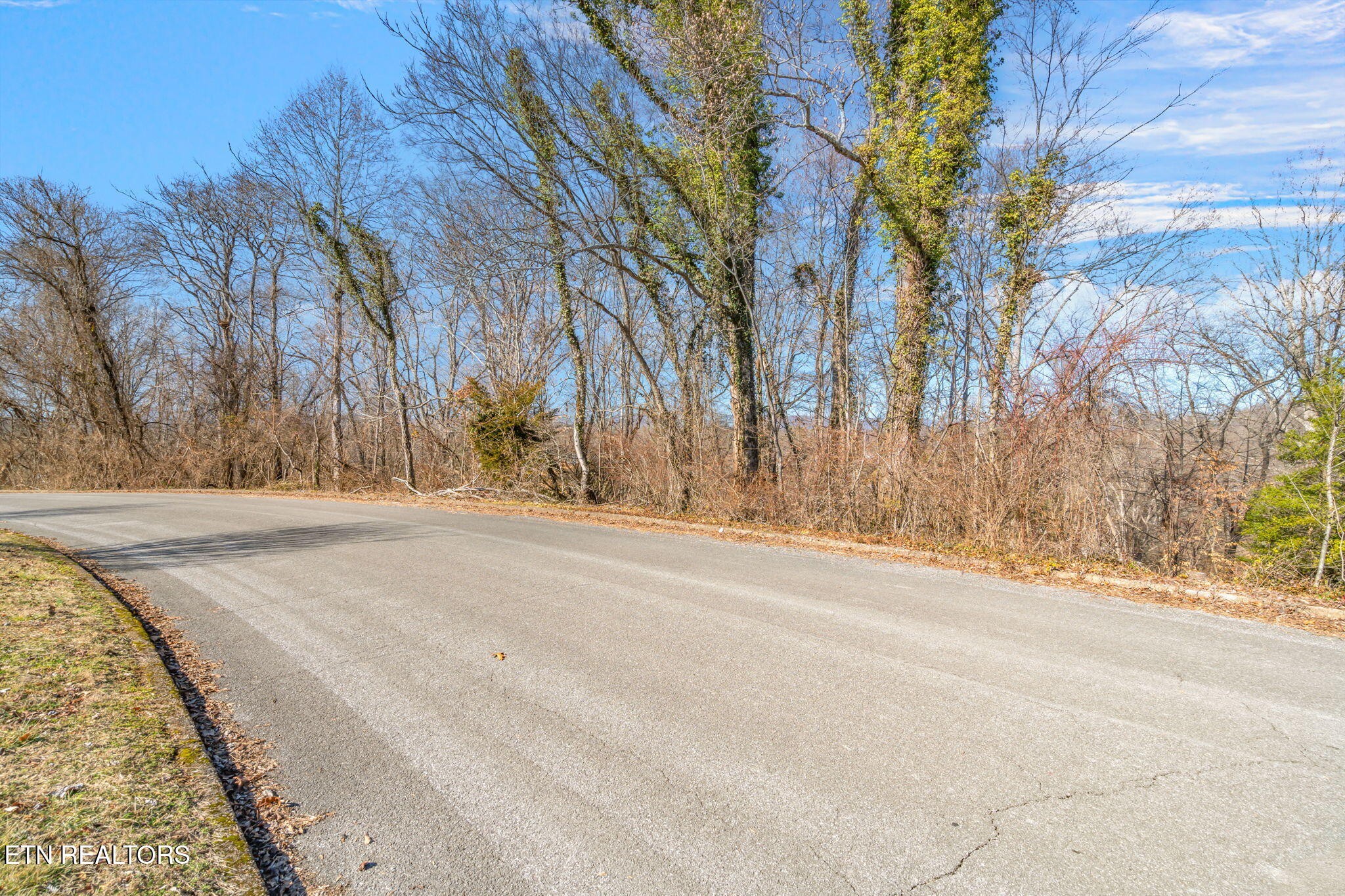 48 Orchard Knob Road Clinton, TN 37716 - Photo 19 of 29 a view of a road with a yard
