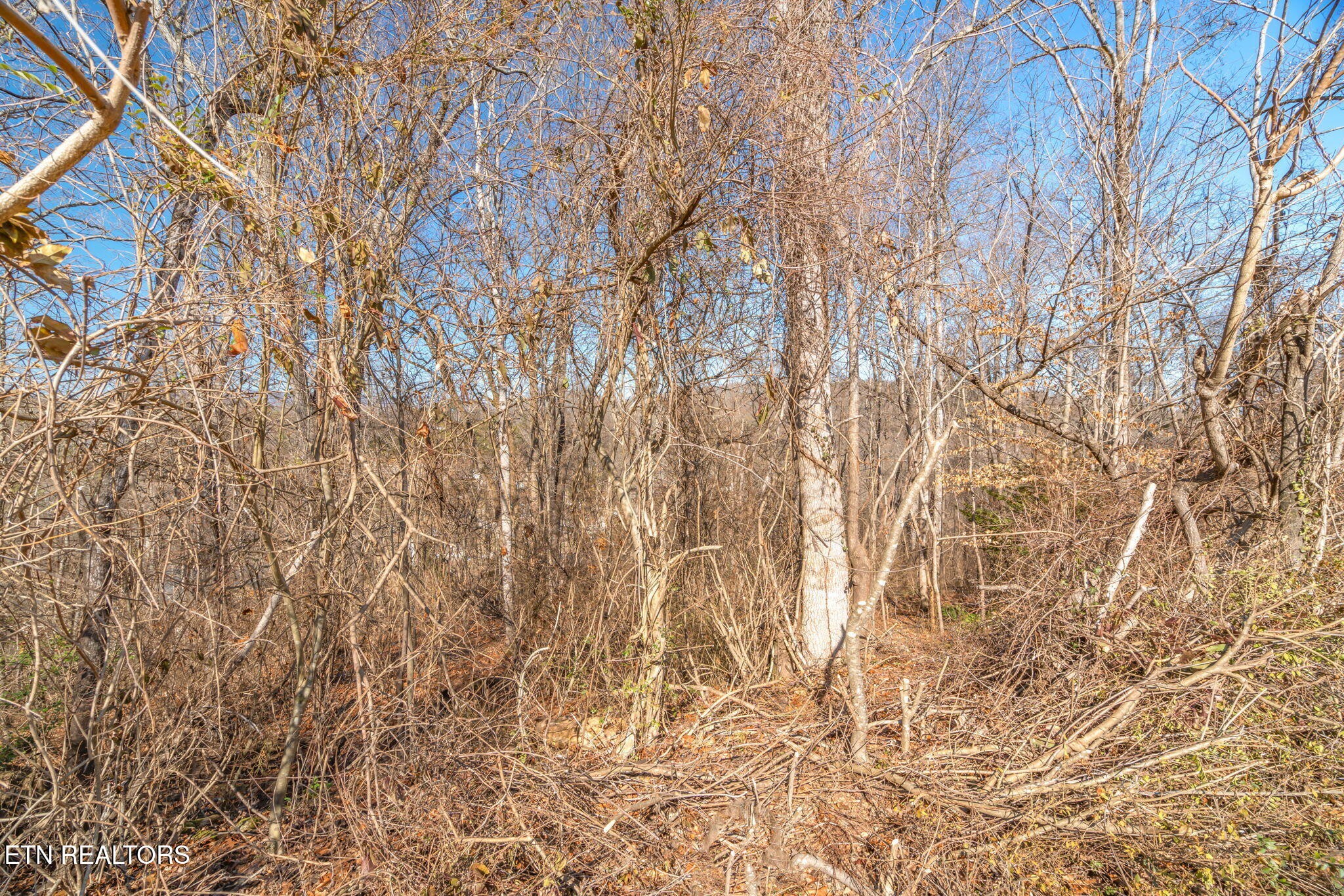 48 Orchard Knob Road Clinton, TN 37716 - Photo 23 of 29