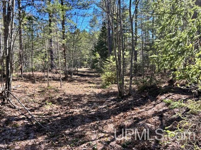 61 Little Rice Lk Road Lake Linden, MI 49945 - Photo 3 of 29