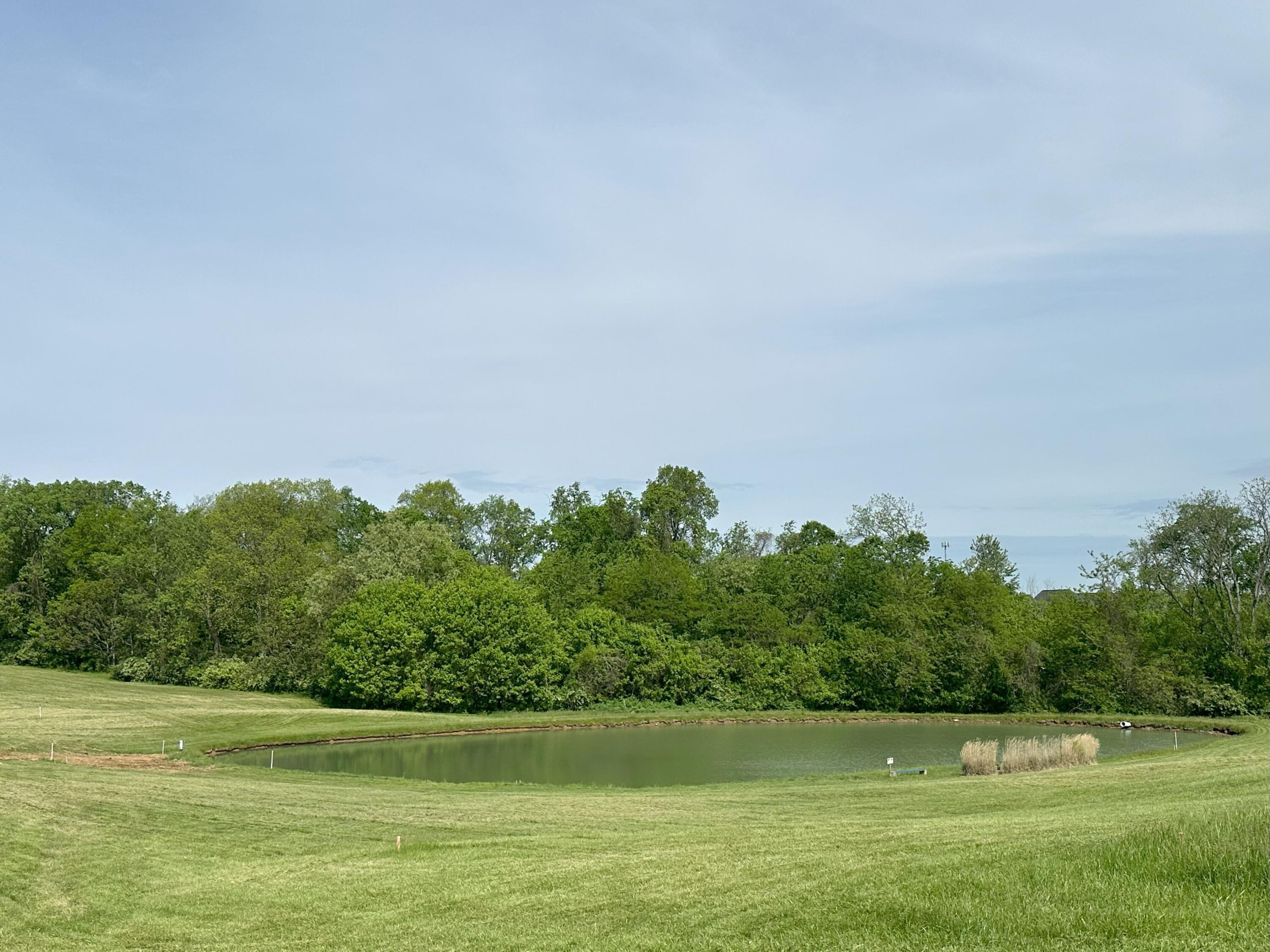 803 North Bend Road Hebron, KY 41048 - Photo 6 of 16