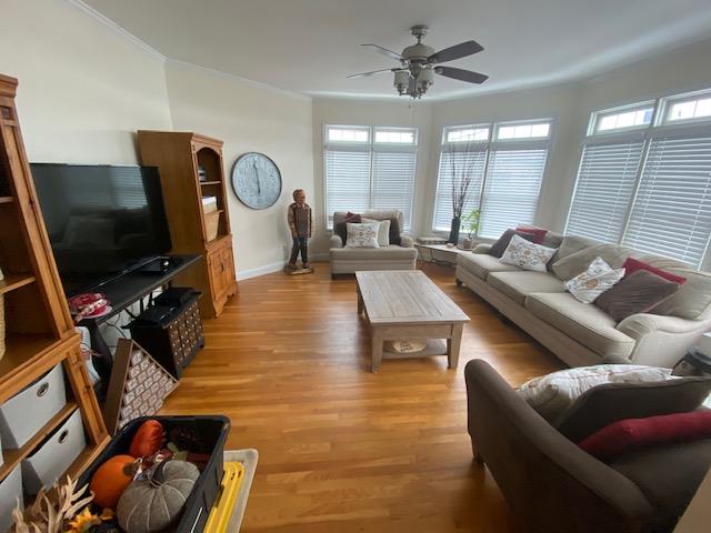 25 Lido Boulevard Point Lookout, NY 11569 - Photo 3 of 18 Living room with light hardwood / wood-style floors, ceiling fan, and crown molding