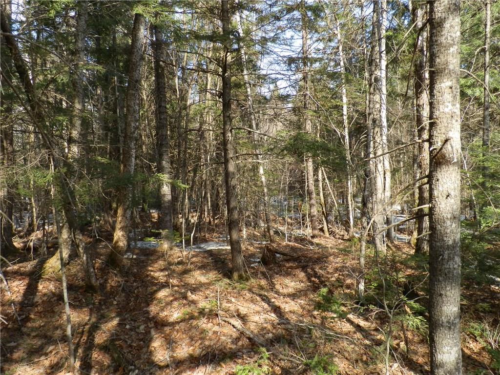 3 Bottle Lake Road Springfield, ME 04487 - Photo 4 of 5 Photo