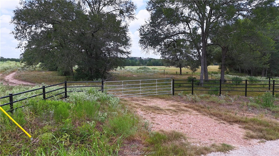 8 & 13) Road Paige, TX 78659 - Photo 19 of 22 Gallery Image 19